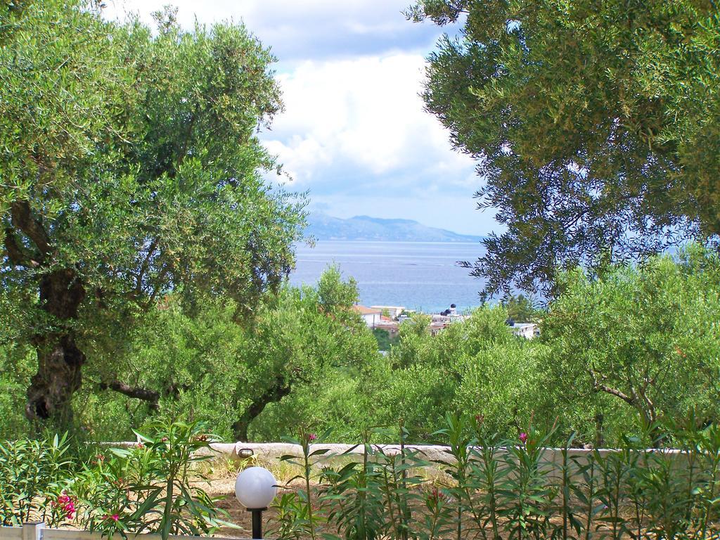 Pouliezos Koklanis Zante Apartments Alykes  Exterior foto